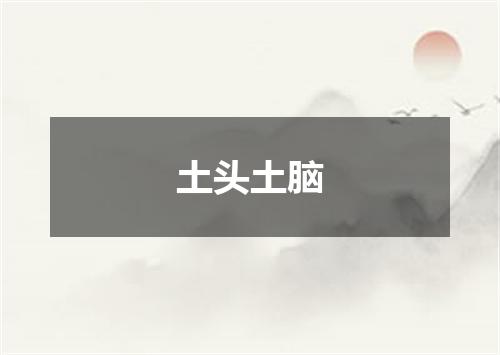 土头土脑