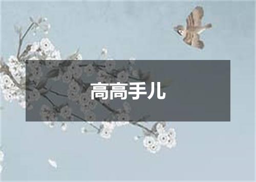 高高手儿