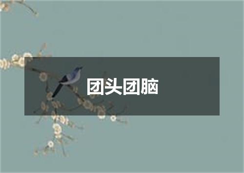 团头团脑