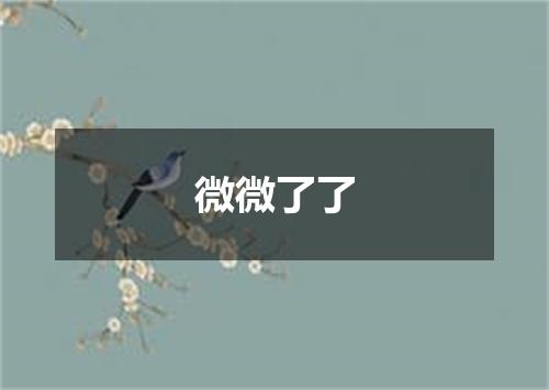 微微了了