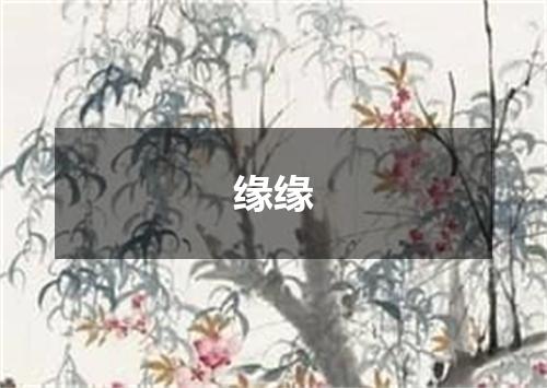 缘缘