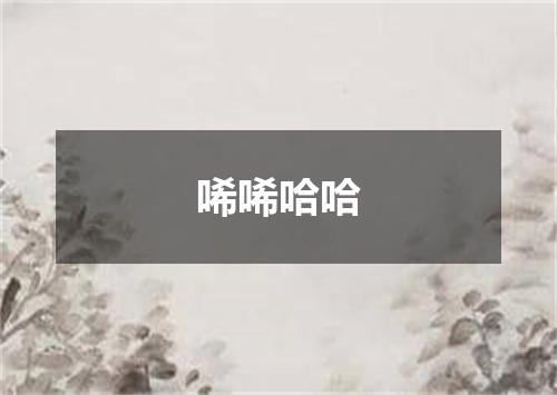 唏唏哈哈