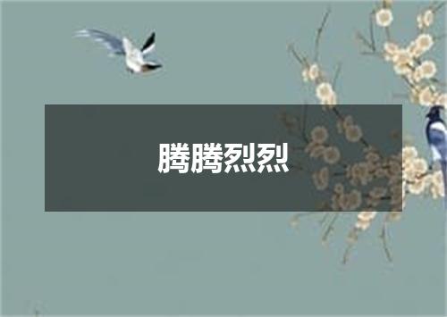腾腾烈烈
