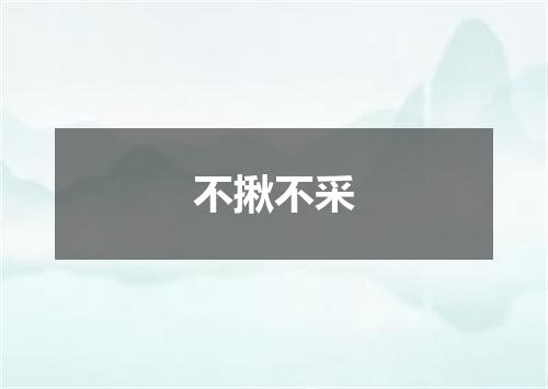 不揪不采