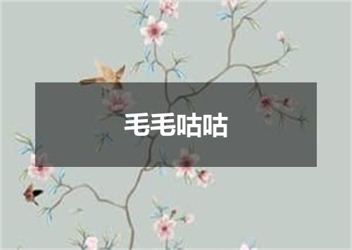 毛毛咕咕