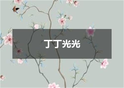 丁丁光光