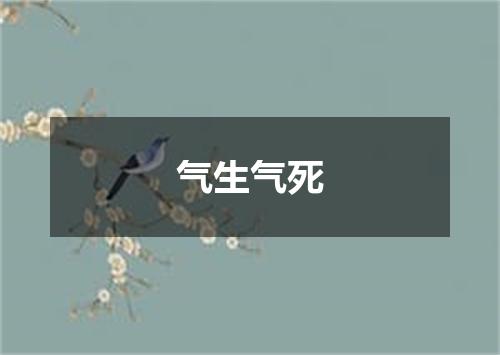 气生气死