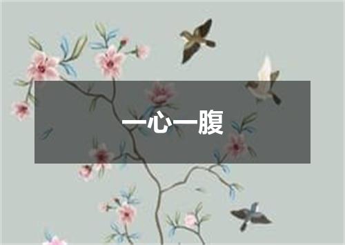 一心一腹