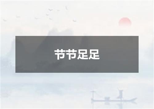 节节足足