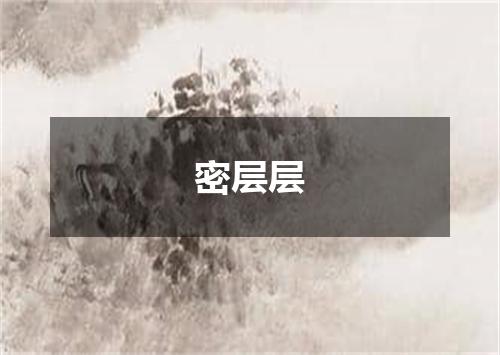 密层层