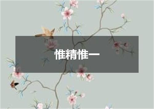 惟精惟一