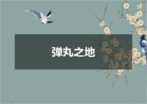 弹丸之地