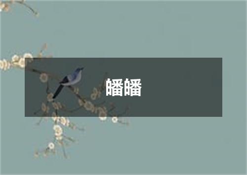 皤皤