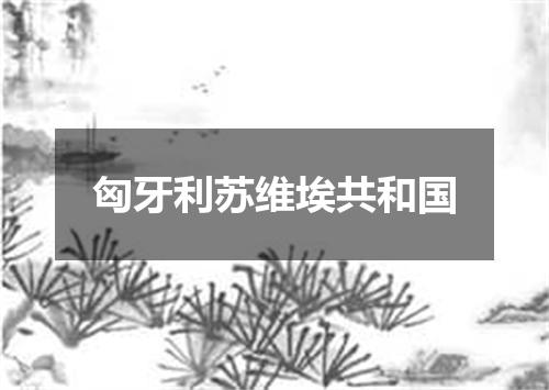 匈牙利苏维埃共和国