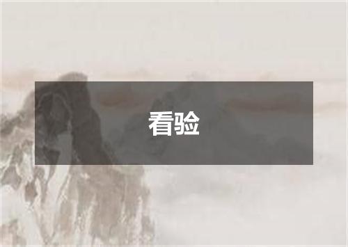 看验