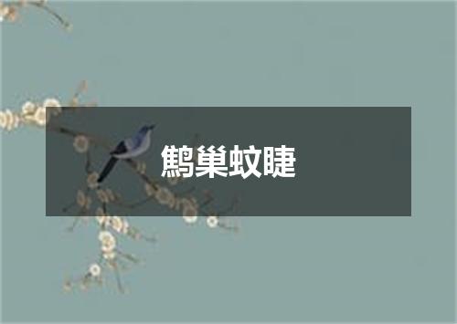 鹪巢蚊睫