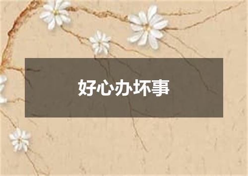 好心办坏事