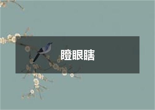 瞪眼瞎