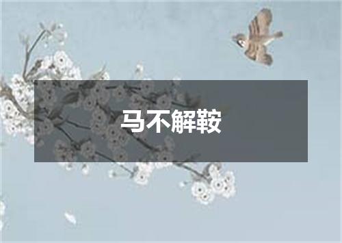 马不解鞍