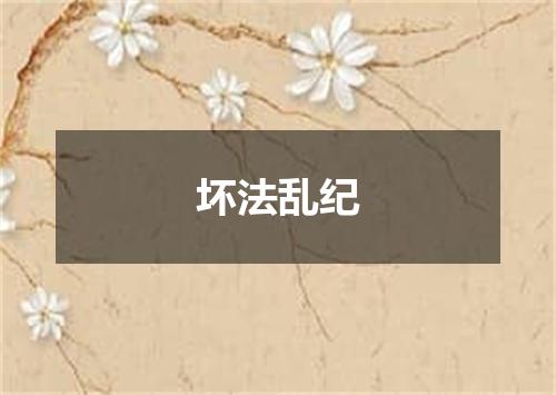 坏法乱纪