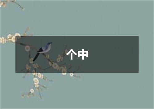 个中