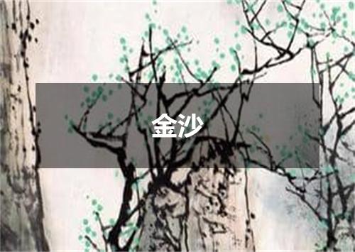 金沙