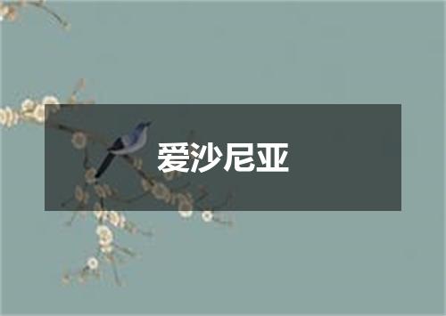 爱沙尼亚