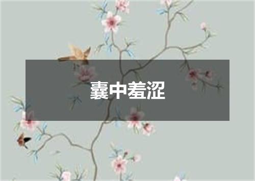 囊中羞涩