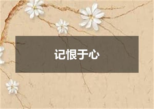 记恨于心