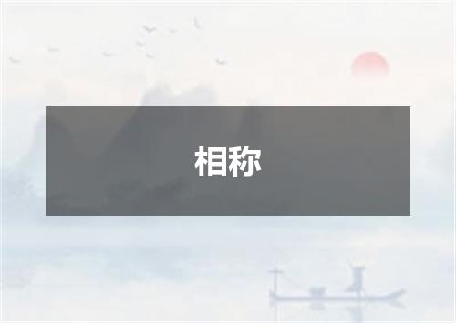 相称