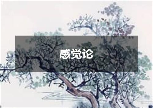 感觉论