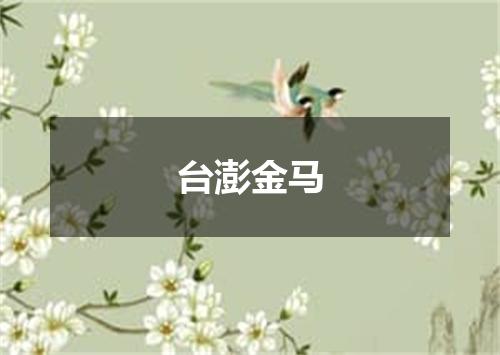 台澎金马