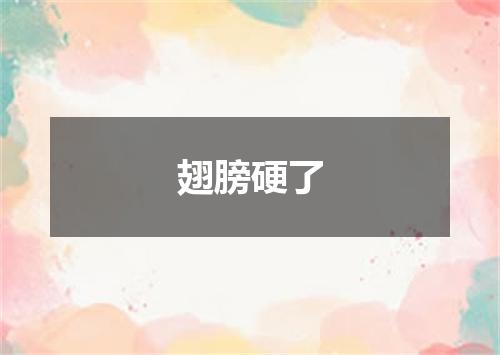 翅膀硬了