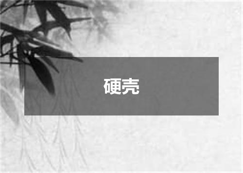 硬壳