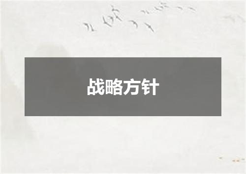 战略方针