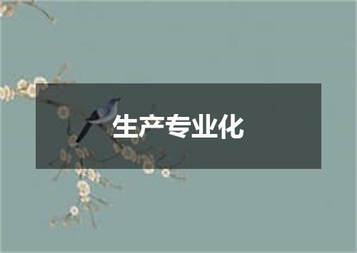 生产专业化