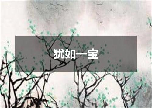 犹如一宝