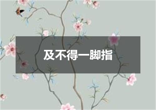 及不得一脚指