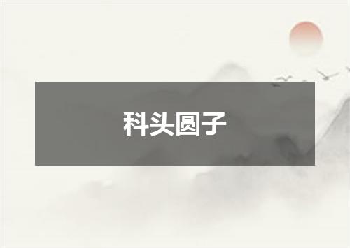 科头圆子