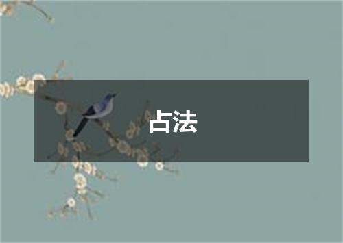 占法