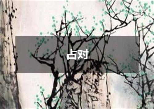 占对