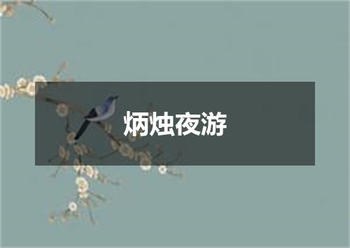 炳烛夜游