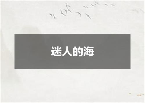 迷人的海