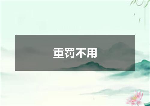 重罚不用