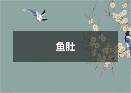 鱼肚