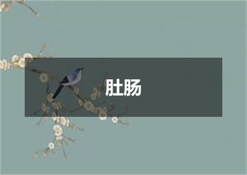 肚肠