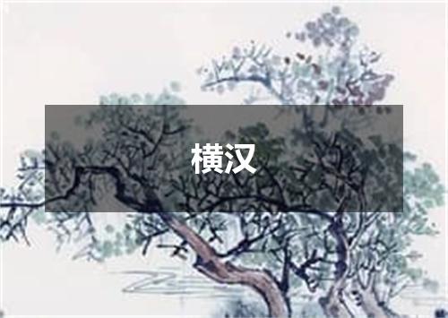 横汉