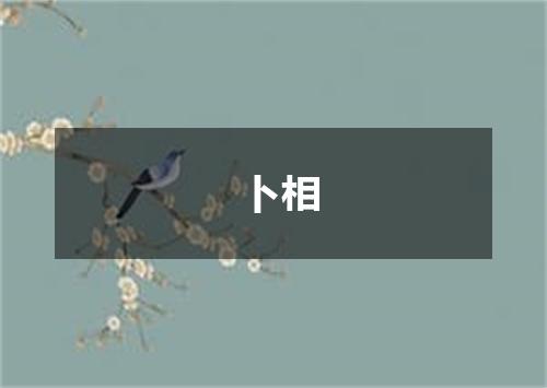 卜相