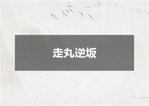 走丸逆坂