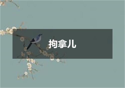拘拿儿
